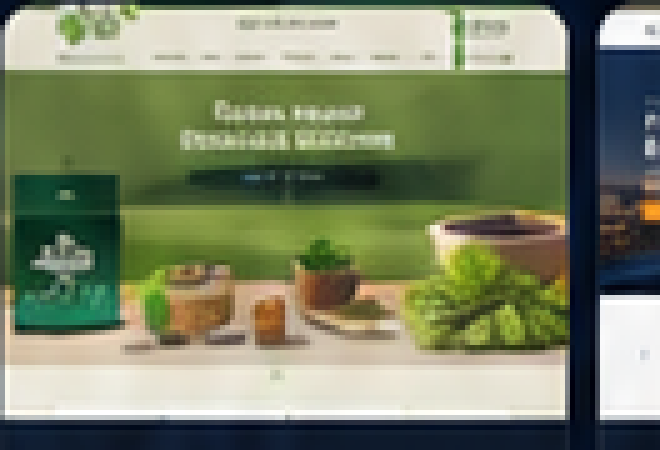 Organic Store